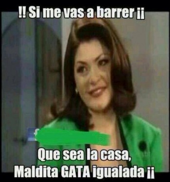 Si me vas a barrer