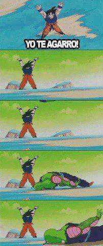 Yo te agarro-goku