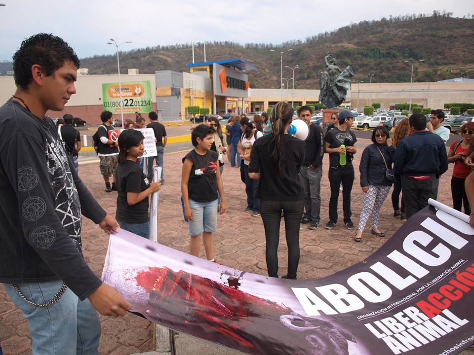 antitaurinos palacio del arte 18 mayo 3