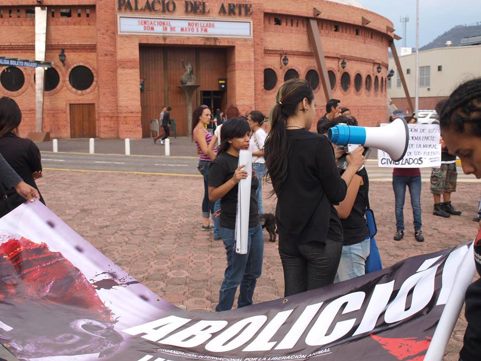 antitaurinos palacio del arte 18 mayo