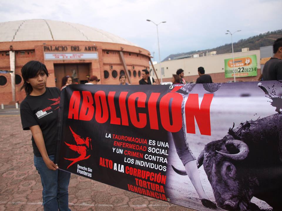 antittaurinos palacio del arte 18 mayo 2