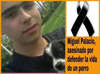 asesinan chavito defensor de animales perros luto