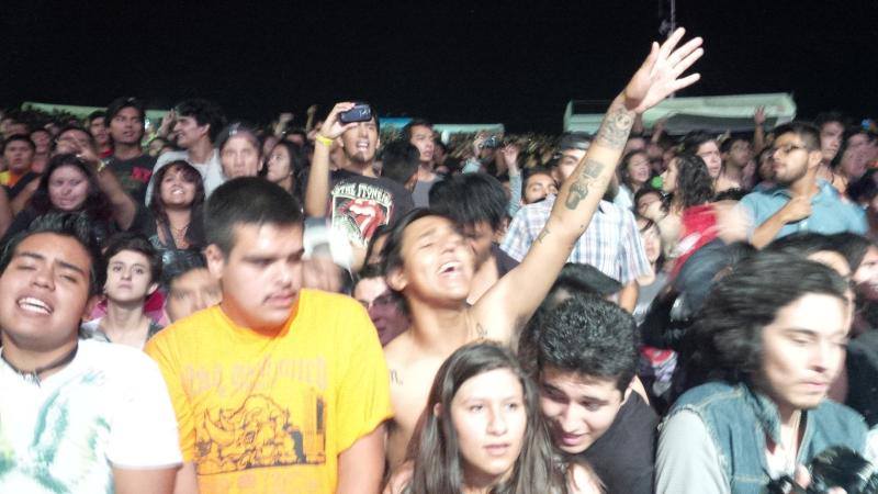 expoferia molotov publico