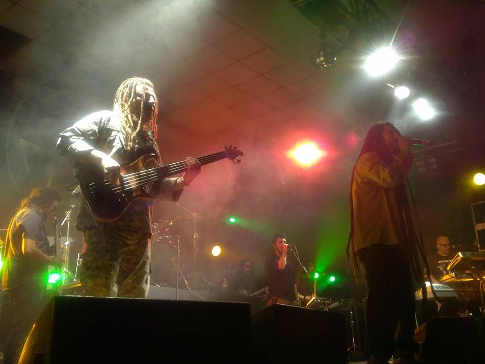 gondwana en morelia 12