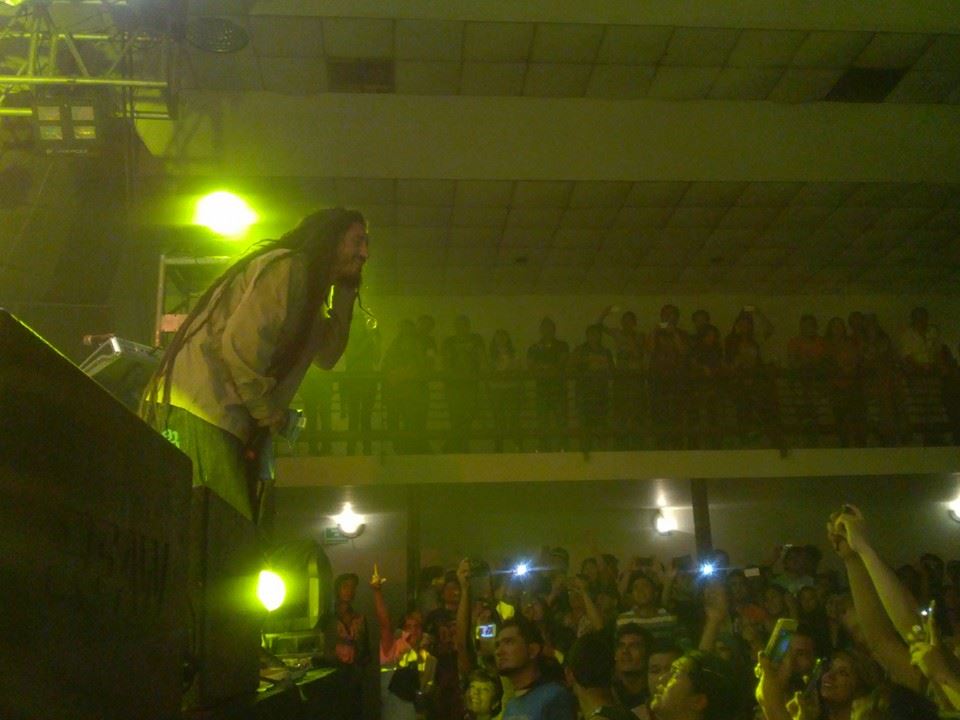 gondwana en morelia 12