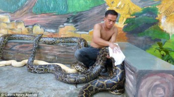 Ofrecen masajes con serpientes en un zoo de Filipinas