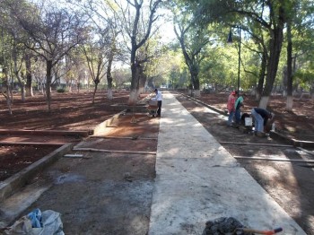 bosque cuauhtémoc reparación