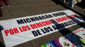 marcha animalistas en morelia3