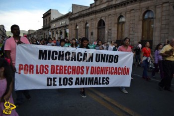 marcha derechos de los animales Morelia 06