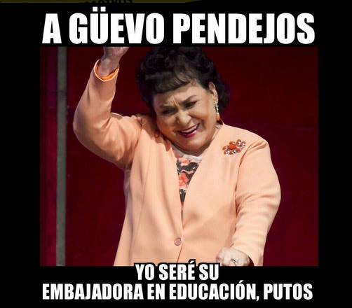 meme Carmen Salinas embajadora de la educación 4
