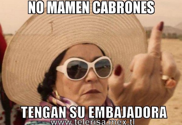 meme Carmen Salinas embajadora de la educación 5