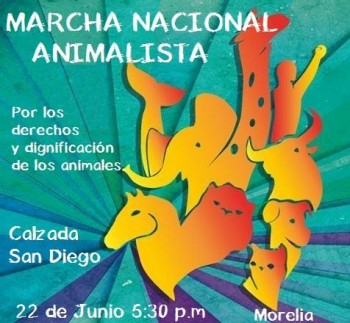 morelia marcha nacional animalista 22 junio