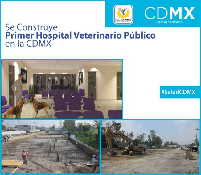 df hospital para mascotas