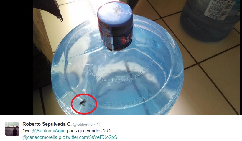 insecto agua santorini denuncia tw