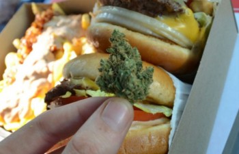 marihuana hamburguesa