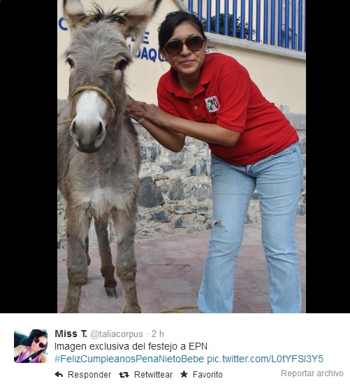 peña nieto cumpleaños burro pri