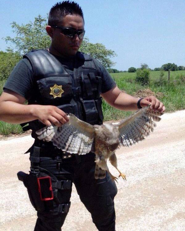 policia cazador 1