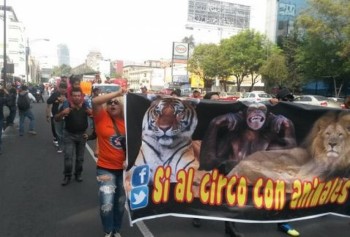 si al circo con animales cirqueros manifestación