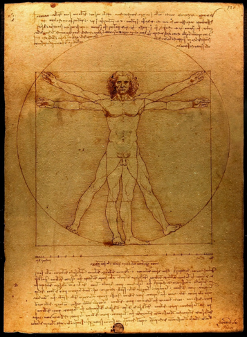 Vitrubio Da Vinci