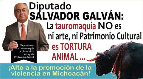 michoacan tauromaquia patrimonio protesta vs galván