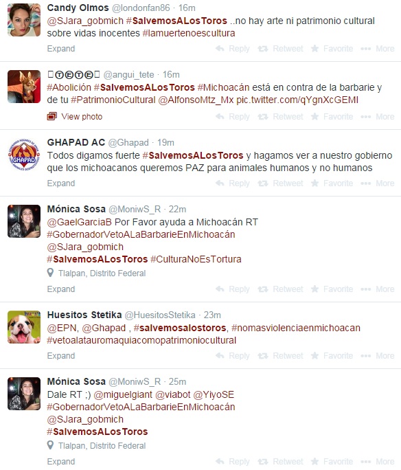 twittstorm #salvemosalostoros
