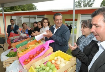 PROGRAMA ALIMENACION WILFRIDO