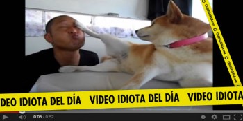 video idiota no quiero beso humano