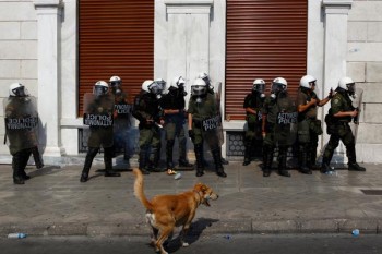 Muere el perro anarquista Loukanikos, símbolo de la lucha griega