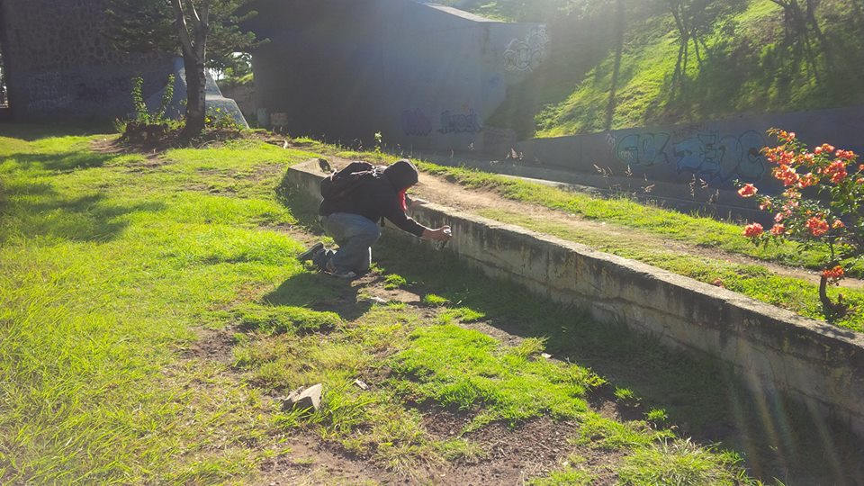 normalistas morelia grafiti jardinera