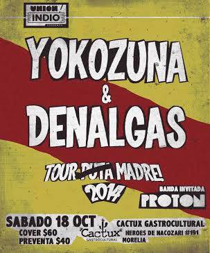 yokozuna morelia concierto cactux