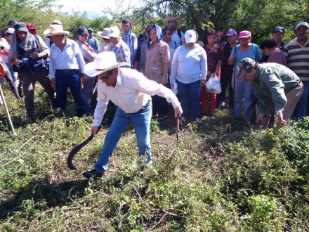 Caravana ciudadana búsqueda