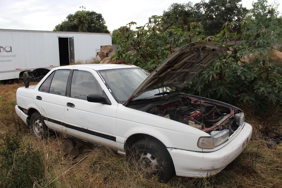 Tsuru blanco robado Morelia