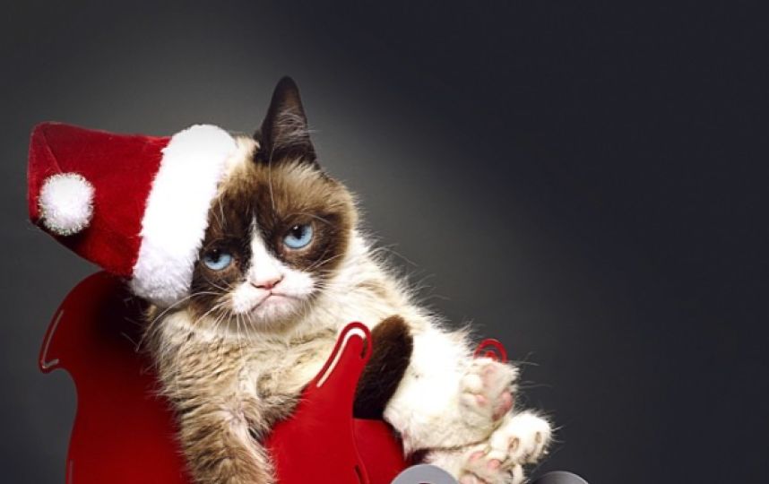 grumpy cat navideño