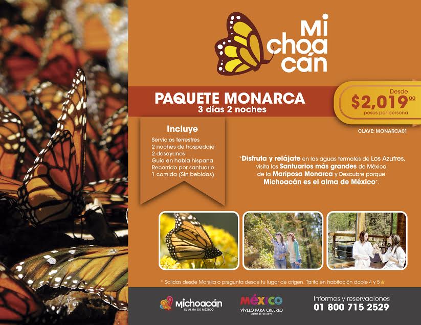 mariposa monarca (1)
