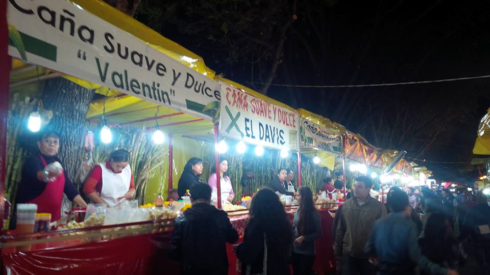 morelia cañas 2014