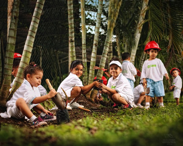 niños plantando árboles