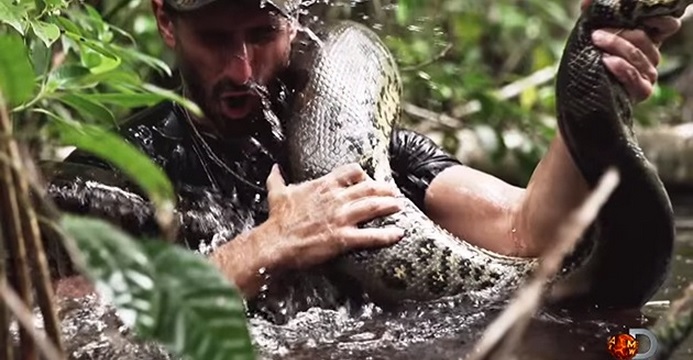 tv aventurero tragado anaconda