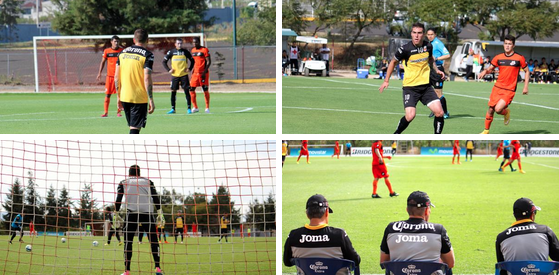 Monarcas Morelia