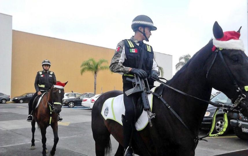 policías navideños de veracruz