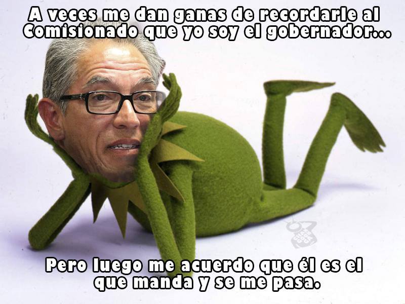 salvador jara meme rana rene comisionado