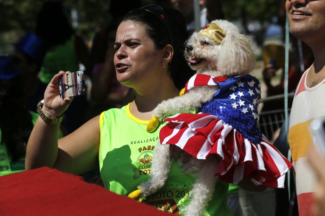 Carnaval de perros maltés