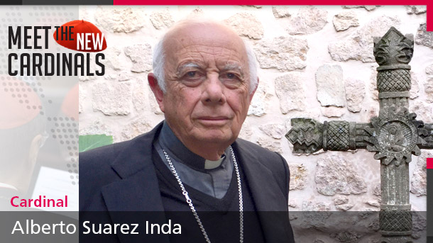 alberto suarez inda meet cardenal