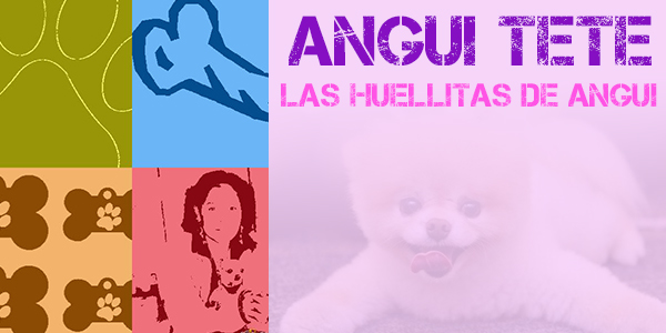 Soy Angui Tete, mi nombre aún no les dirá nada, soy ama de casa, rescatista independiente, asistimos a reportes de maltrato y abandono animal, nos encargamos de su atención médica, recuperación y rehabilitación, para poderlos dar en adopción a familias responsables. Las huellitas de Angui hablará de tenencia responsable de mascotas, maltrato animal, rehabilitación y rescate de los mismos.