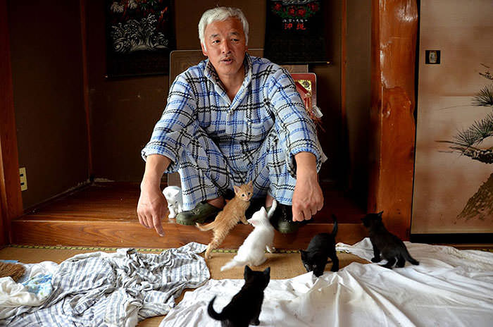 Naoto Matsumura y sus gatitos