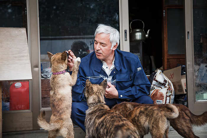 Naoto con perros