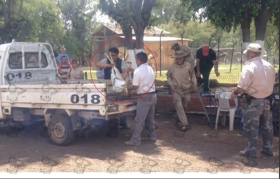 El cadáver de la antilope llevado a una camioneta del parque // Especial JF