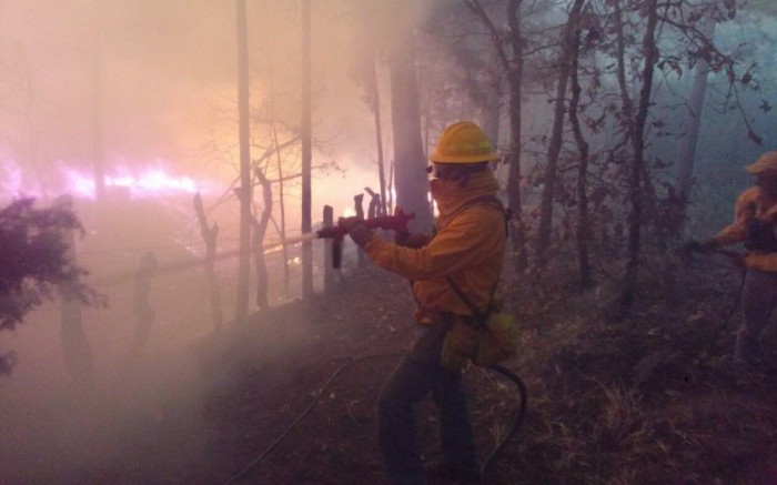 incendio forestal