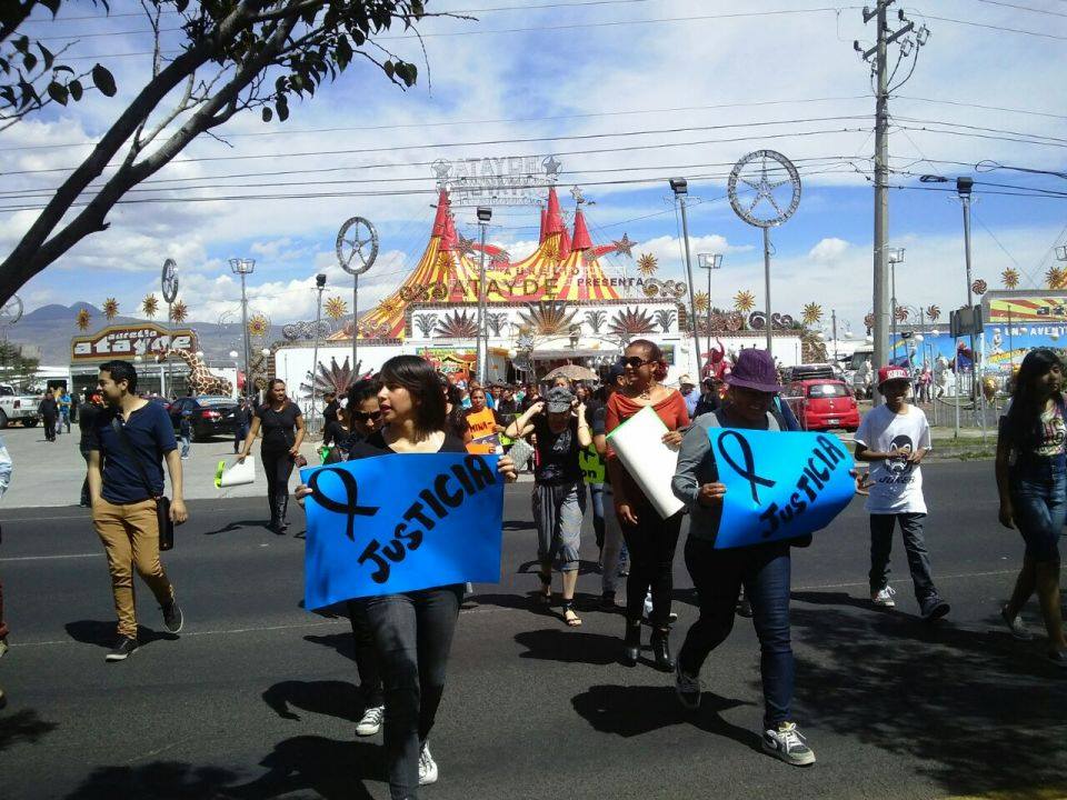 marcha elefanta Merry Morelia 6