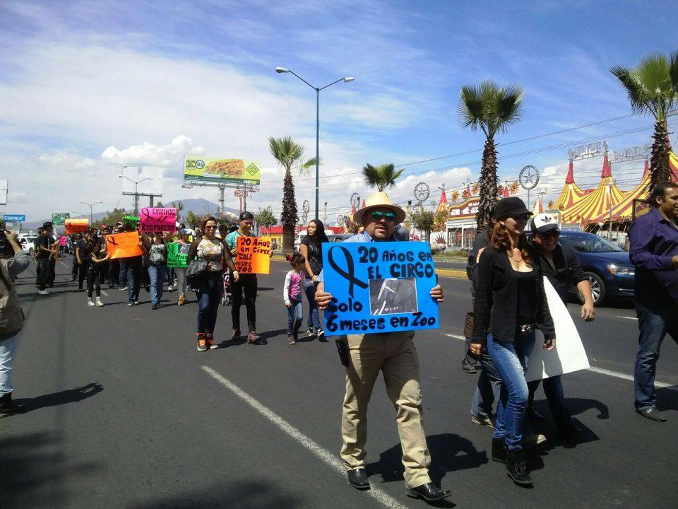 marcha elefanta Merry Morelia