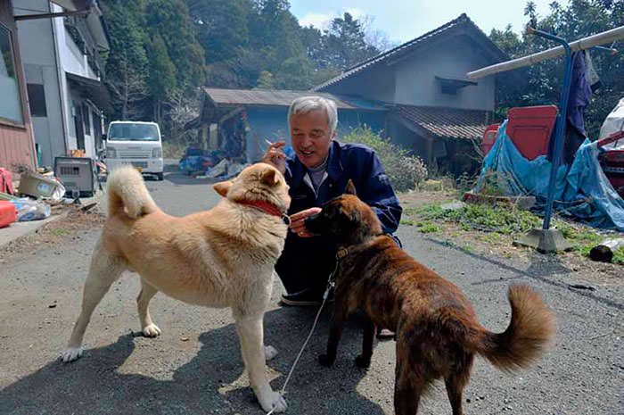 naoto con sus perros